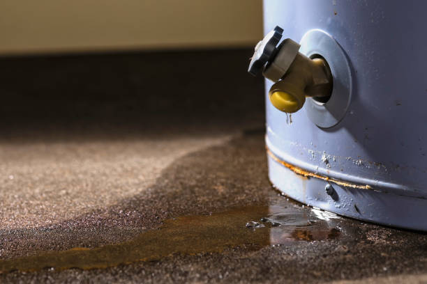 Best Local water damage restoration  in Essex Village, CT