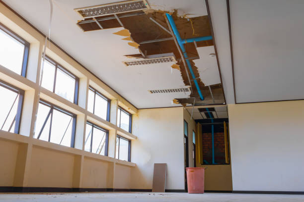 Best Fire Damage Restoration  in Essex Village, CT