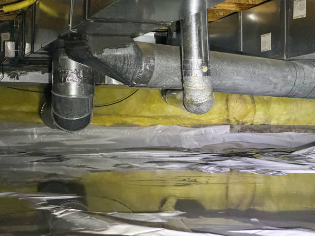 Best Mold removal after water damage  in Essex Village, CT