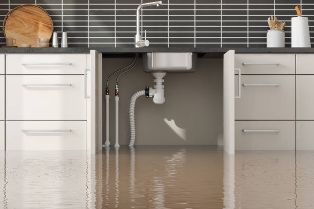 Best Water damage restoration services  in Essex Village, CT