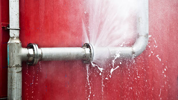 Best Flood damage cleanup  in Essex Village, CT
